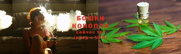 крисы Верея