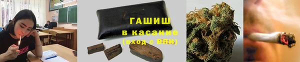 крисы Верея