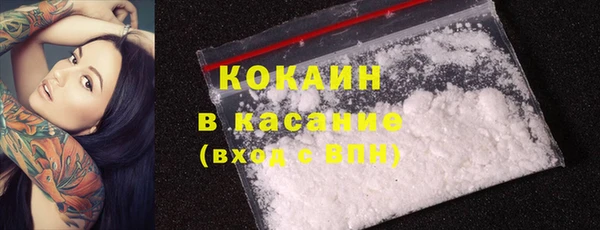 крисы Верея