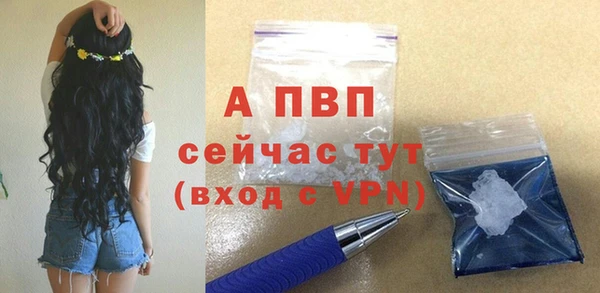 крисы Верея