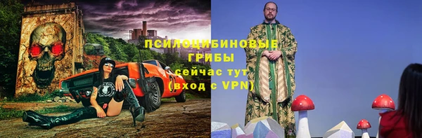 крисы Верея