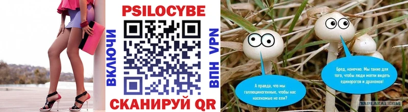 Купить где Верхняя Тура Псилоцибиновые грибы ЛСД